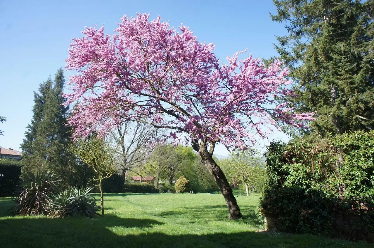 Dom wakacyjny Le Rose Al Nibbio In Toscana Reggello Włochy